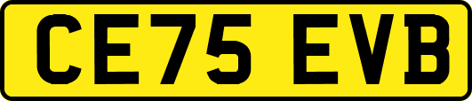 CE75EVB