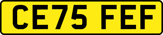 CE75FEF