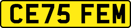 CE75FEM