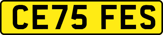 CE75FES