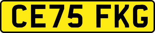 CE75FKG