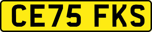 CE75FKS
