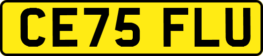 CE75FLU