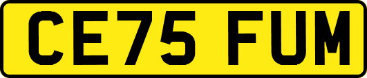 CE75FUM