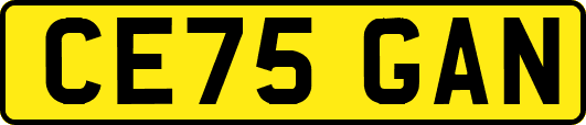 CE75GAN