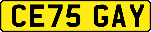 CE75GAY