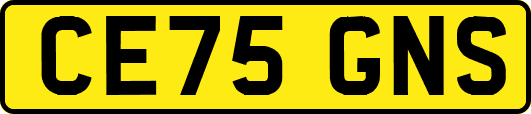 CE75GNS