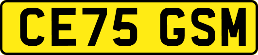 CE75GSM