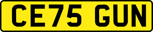 CE75GUN