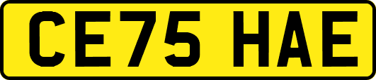 CE75HAE