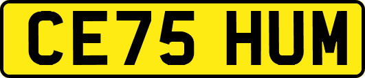 CE75HUM