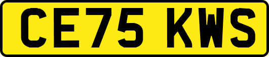 CE75KWS