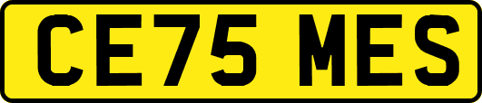 CE75MES