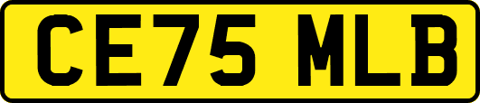 CE75MLB