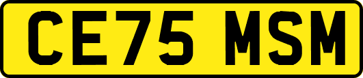 CE75MSM