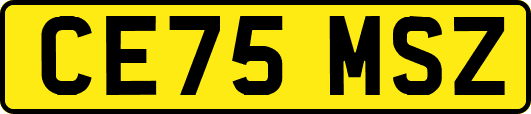 CE75MSZ