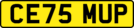 CE75MUP