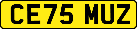 CE75MUZ
