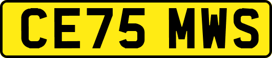 CE75MWS