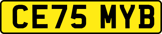 CE75MYB