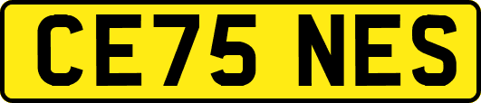 CE75NES