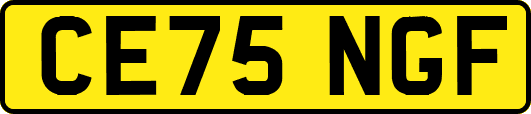 CE75NGF