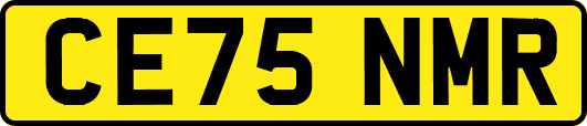 CE75NMR