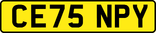 CE75NPY