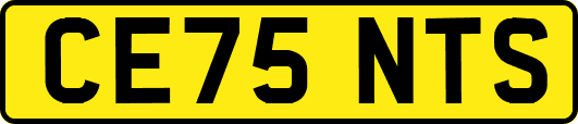 CE75NTS