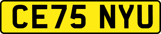CE75NYU