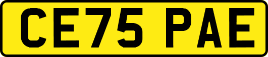 CE75PAE