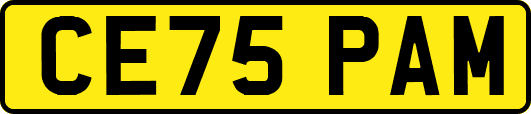CE75PAM