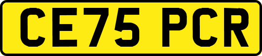 CE75PCR