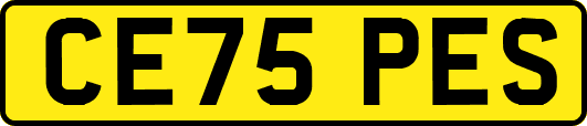 CE75PES