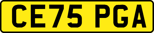 CE75PGA