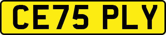 CE75PLY