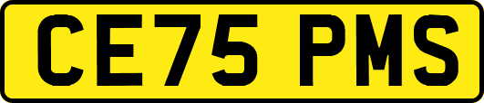 CE75PMS