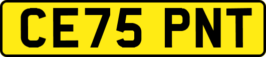 CE75PNT