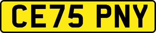 CE75PNY
