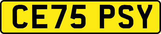 CE75PSY