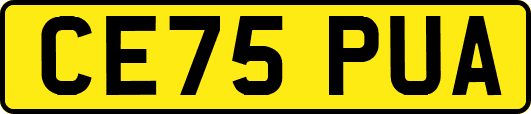 CE75PUA