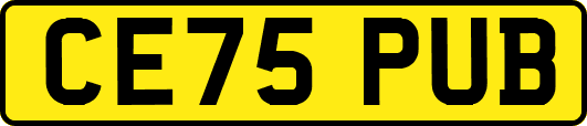 CE75PUB