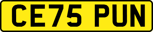 CE75PUN