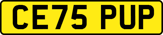 CE75PUP
