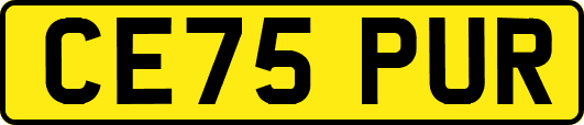 CE75PUR