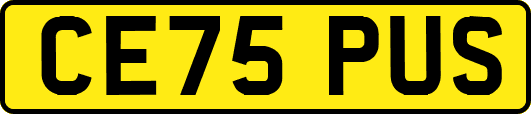 CE75PUS