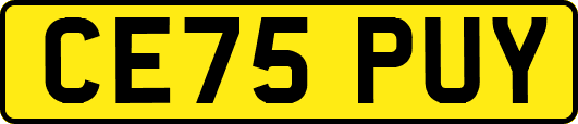 CE75PUY