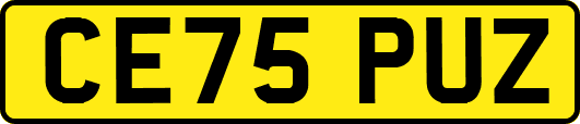 CE75PUZ