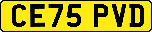 CE75PVD