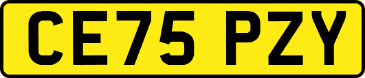 CE75PZY